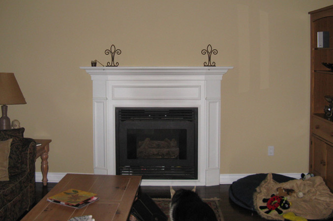 the fireplace before